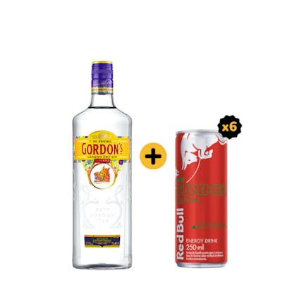 Combo Gordons + Red Bull (1 Gin Gordons London Dry 750ml + 6 Red Bull Melancia 250ml)